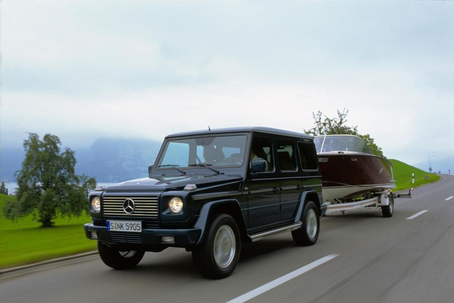  Mercedes-Benz G-Class 1990 года  (фото 218 из 260)